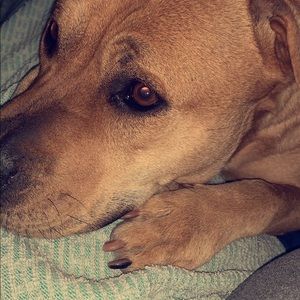 Meet your Posher, Sergio